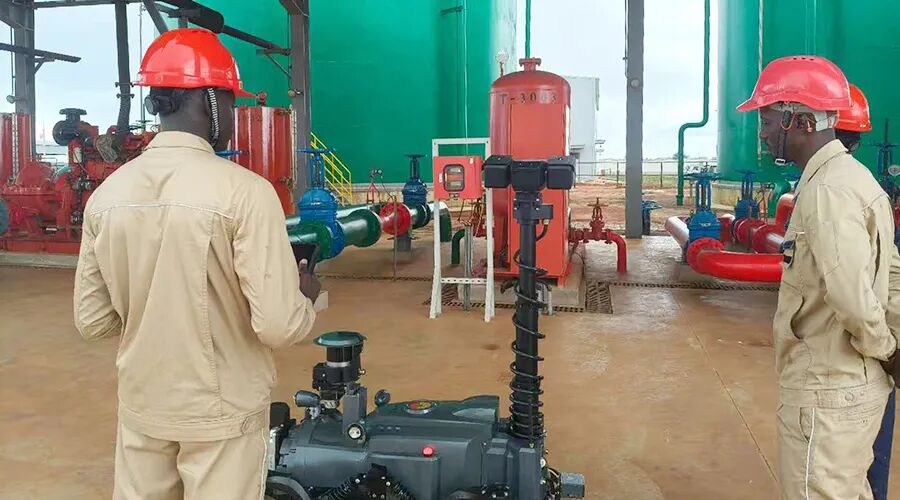 1761101138622807.jpeg 2fa1e8bb76ce73b865df57ebd49eb2d2_173487489.jpeg